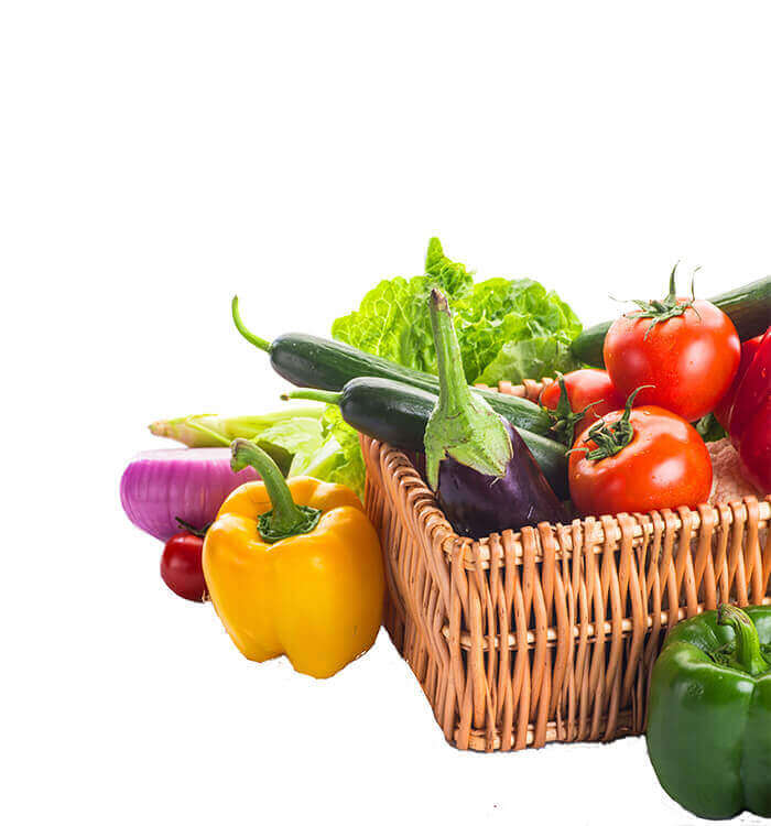 Vitotrans Empresa de Logística y Transporte internacional hortofrutícola